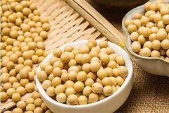 便攜式蔬菜農(nóng)藥檢測儀檢測大豆農(nóng)殘