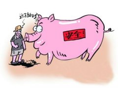 動物疾病快速診斷儀器的使用 動物疾病快速診斷儀器的使用