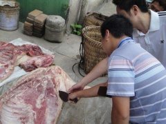 病害肉快速檢測儀的操作方法 病害肉快速檢測儀的操作方法