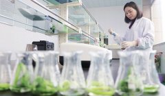 蔬菜檢測(cè)儀器怎么用 蔬菜檢測(cè)儀器怎么用